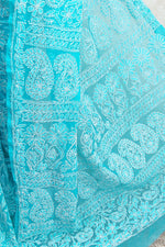 Load image into Gallery viewer, Gulzar Full Jaal Chikankari Saree