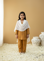 Load image into Gallery viewer, Titli Cotton Chikankari Ombre Girl's 3 PC A-Line Kurta Set - The Lucknowi Chikan