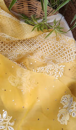 Load image into Gallery viewer, Royal Mandakini Organza Saree - The Lucknowi Chikan