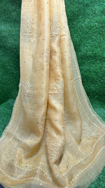 Load image into Gallery viewer, Pure Organza Silk Luxury Saree