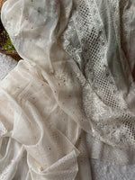 Load image into Gallery viewer, Royal Mandakini Organza Silk Chikankari Saree
