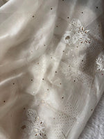 Load image into Gallery viewer, Royal Mandakini Organza Silk Chikankari Saree
