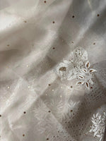 Load image into Gallery viewer, Royal Mandakini Organza Silk Chikankari Saree