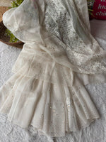 Load image into Gallery viewer, Royal Mandakini Organza Silk Chikankari Saree White