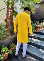 Load image into Gallery viewer, Nawab Mens Hakuba Sequence Chikankari Kurta & Pyjama Set