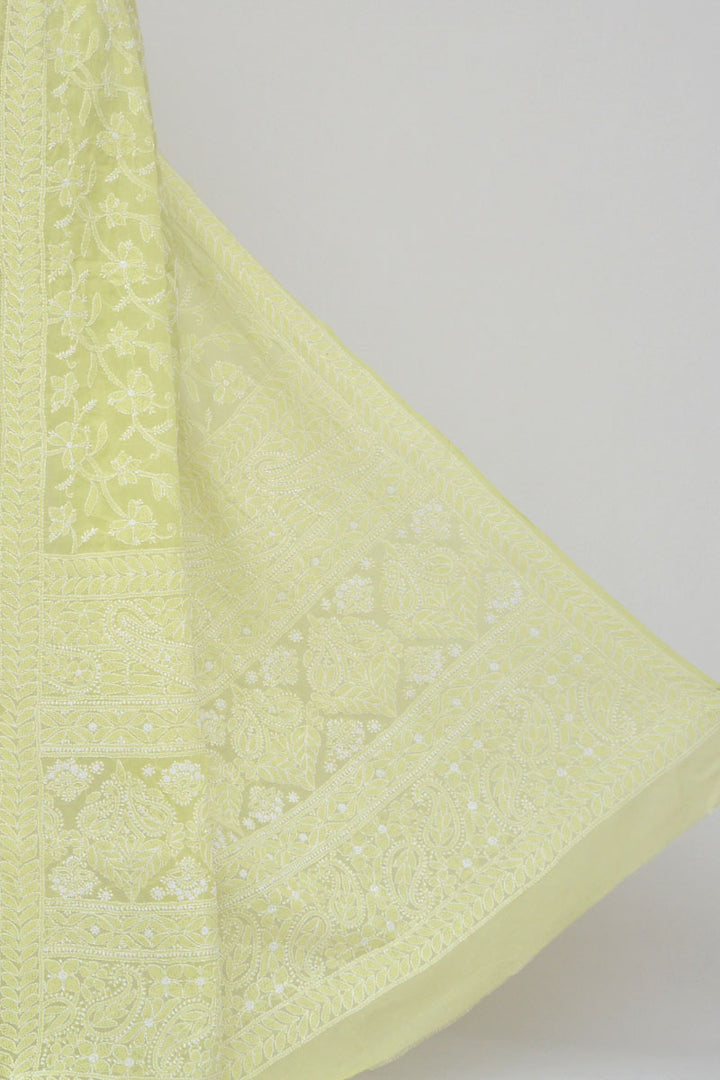 Gulzar Full Jaal Chikankari Saree