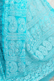 Gulzar Full Jaal Chikankari Saree