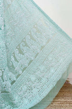 Load image into Gallery viewer, Gulzar Full Jaal Chikankari Saree