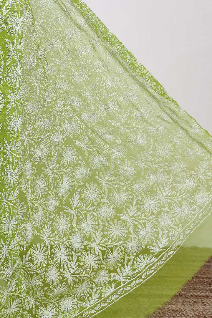 Tepchi work chikankari saree