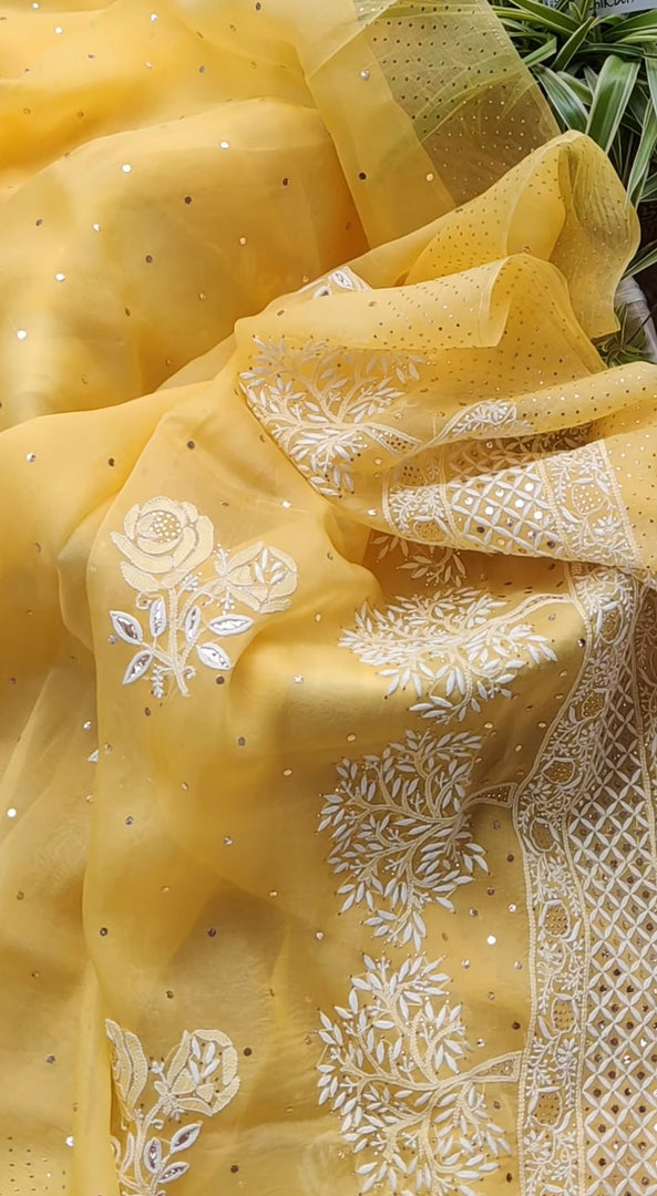 Royal Mandakini Organza Saree - The Lucknowi Chikan 