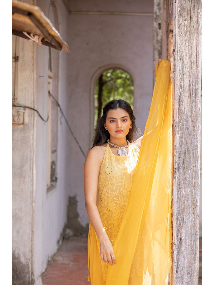 Fiza Designer Mukaish Chikankari Noodle Gharara Set