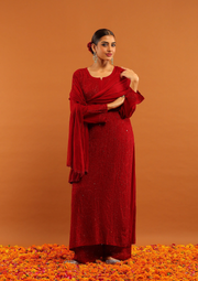 Nagma Chikankari And Mukaish Suit Set