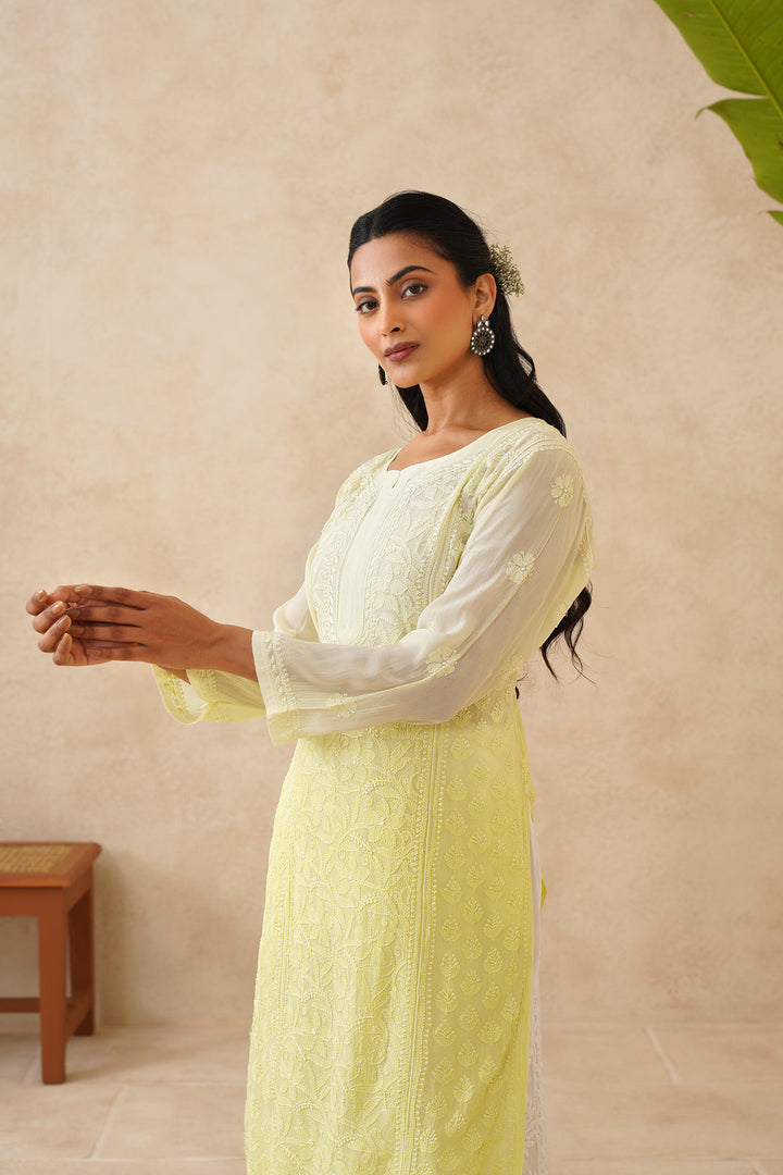 Suhana Ombre Chikankari Viscose Long Kurta - The Lucknowi Chikan 