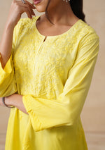 Load image into Gallery viewer, Amina Rayon Short Chikankari Kurti