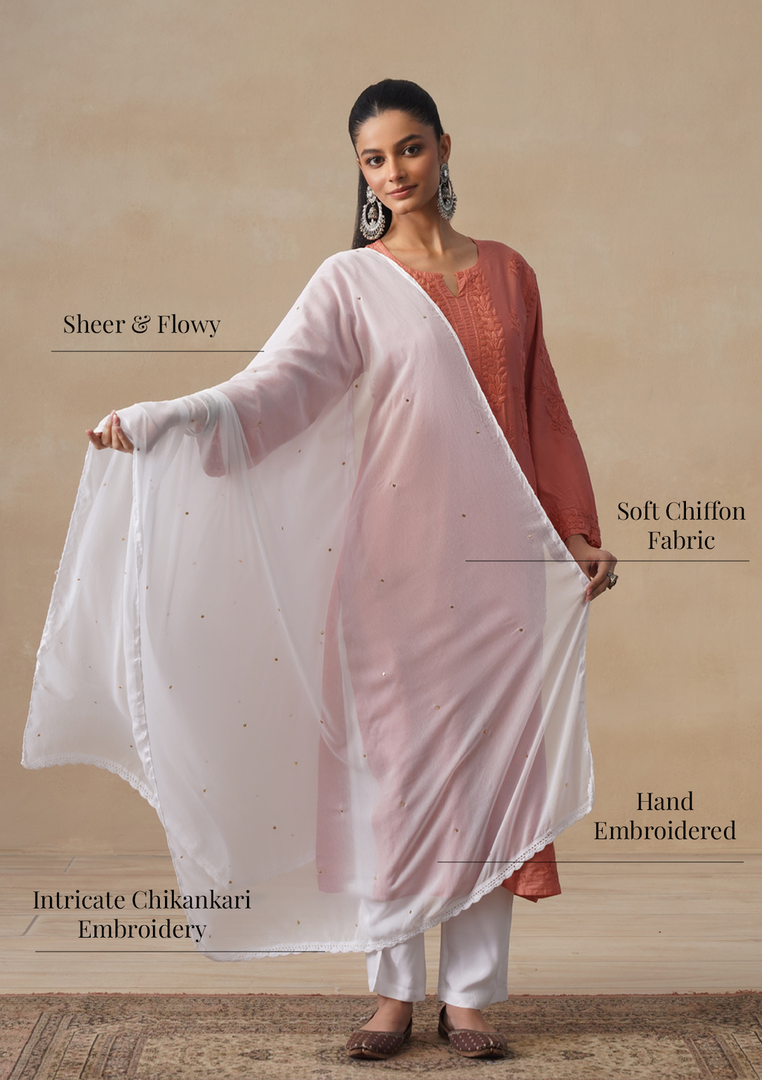 Mukaish Chiffon Dupatta