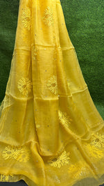 Load image into Gallery viewer, Pure Organza Silk Luxury Saree