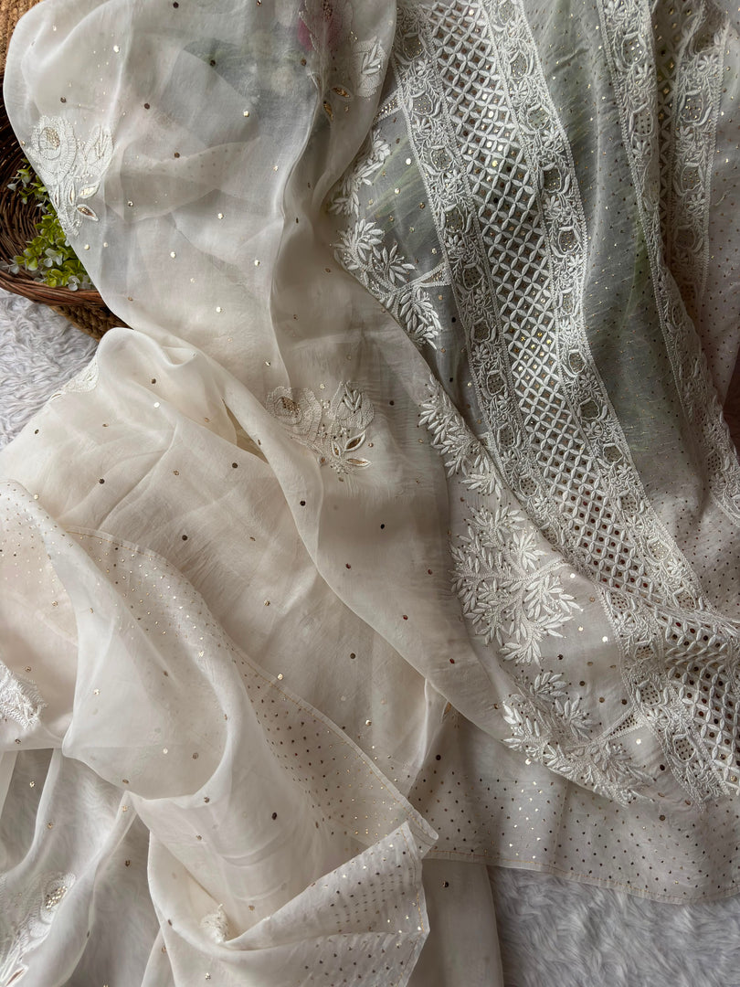 Royal Mandakini Organza Silk Chikankari Saree