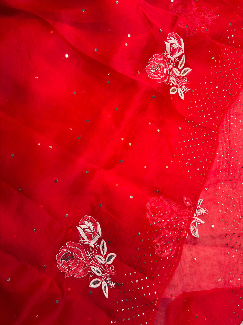 Royal Mandakini Organza Silk Chikankari Saree