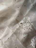 Load image into Gallery viewer, Royal Mandakini Organza Silk Chikankari Saree
