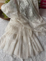 Load image into Gallery viewer, Royal Mandakini Organza Silk Chikankari Saree White