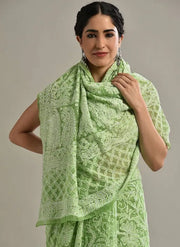 Gulzar Full Jaal Chikankari Saree