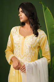 Dhunki Modal Chikankari Straight Kurta