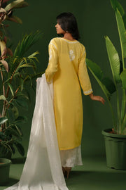 Dhunki Modal Chikankari Straight Kurta