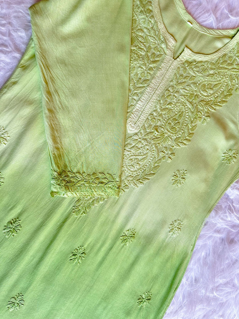 Riva Ombre Chikankari Kurti