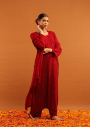 Nagma Chikankari And Mukaish Suit Set