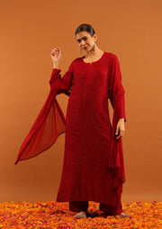 Nagma Chikankari And Mukaish Suit Set