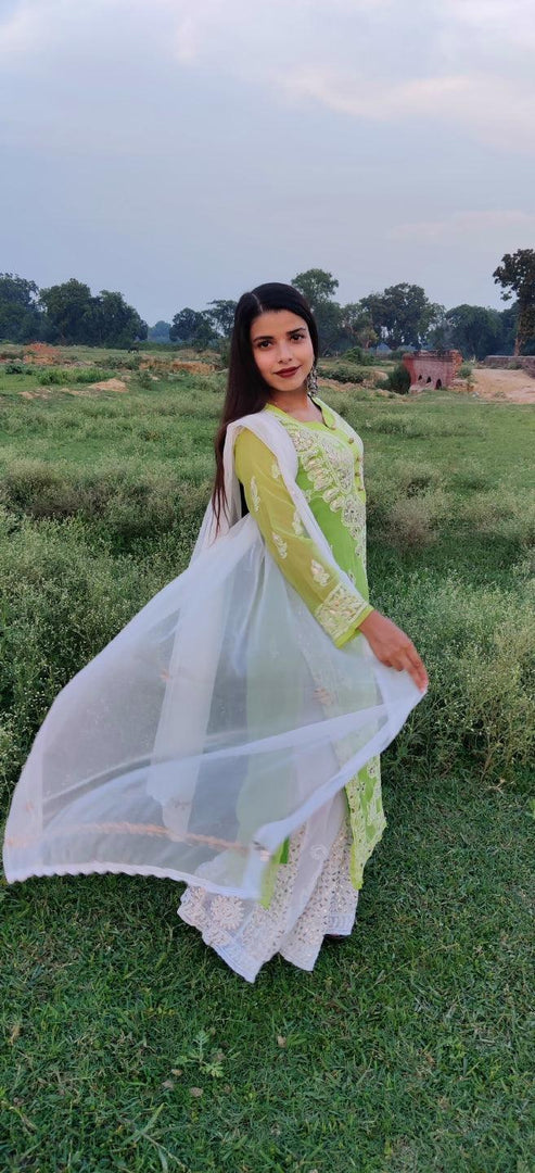 Hand Crochet Chiffon Dupatta-The Lucknowi Chikan